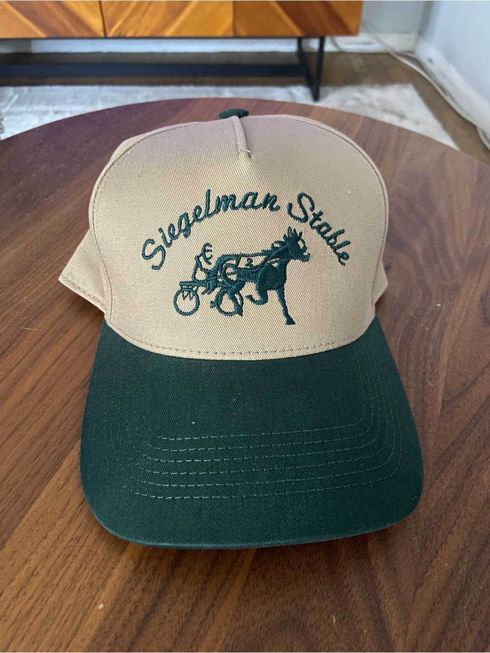 BNWT NEW, never worn Siegelman Stable Snapback Dad Cap Hat